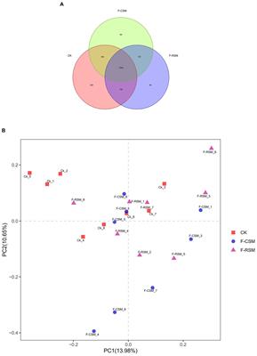 Fermented cottonseed and rapeseed meals outperform soybean meal in improving performance, rumen fermentation, and bacterial composition in Hu sheep